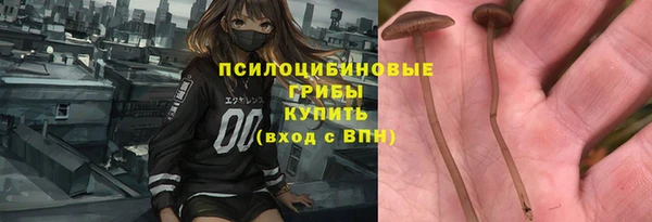 ПСИЛОЦИБИНОВЫЕ ГРИБЫ Абинск