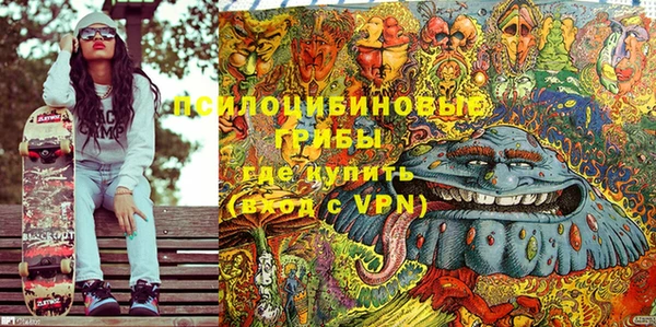 индика Пролетарск